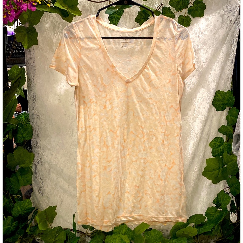 American Eagle sheer t-shirt EUC